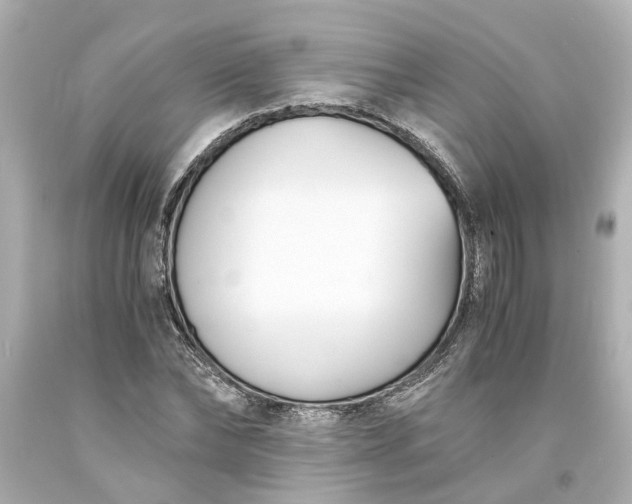 X0000093570878200710291038