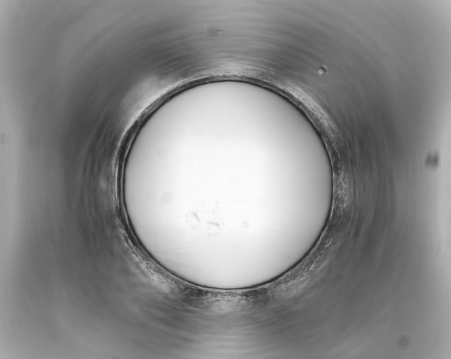 X0000093570886200710291037