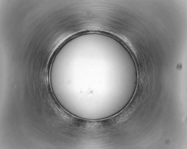 X0000093570887200710291037