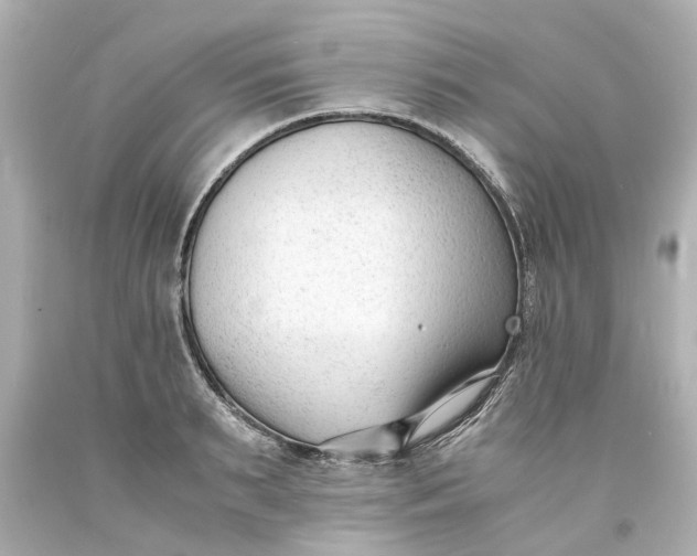X0000093570895200710291037