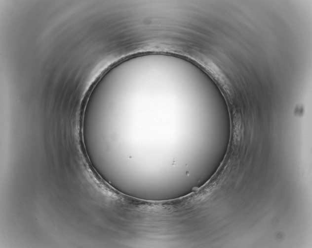 X0000093570896200710291037