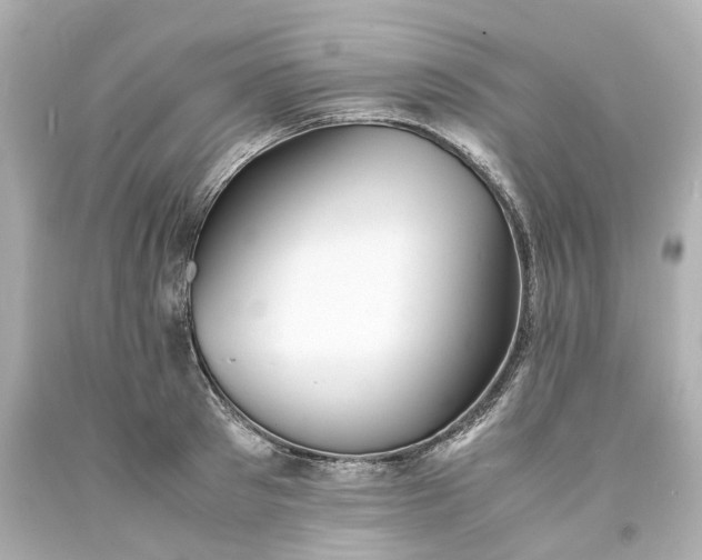 X0000093570897200710291037