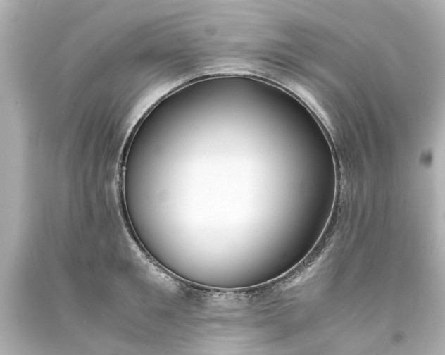 X0000093570901200710291037