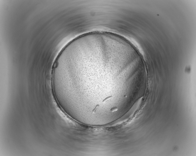 X0000093570903200710291037