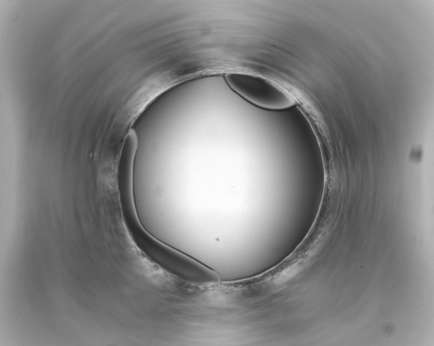 X0000093570905200710291037