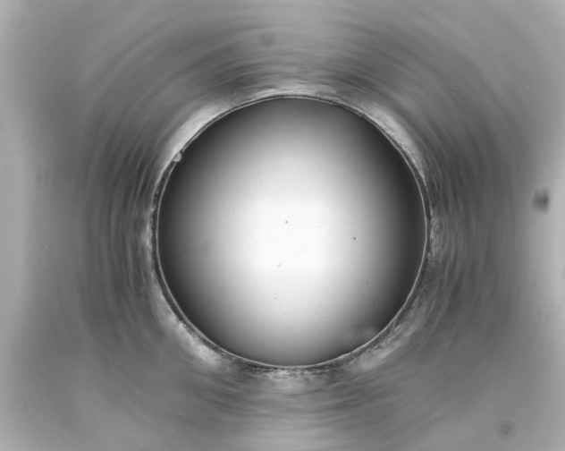 X0000093570906200710291037
