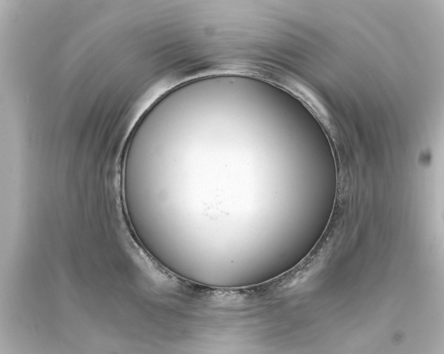 X0000093570907200710291037