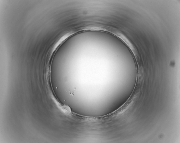 X0000093570909200710291037