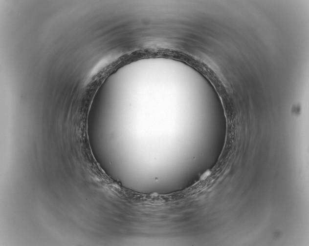X0000093570919200710291037