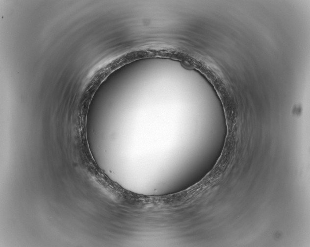 X0000093570920200710291037