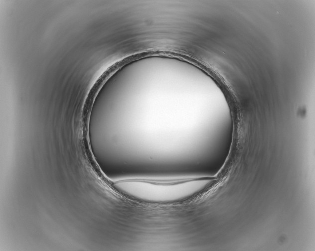 X0000093570924200710291037