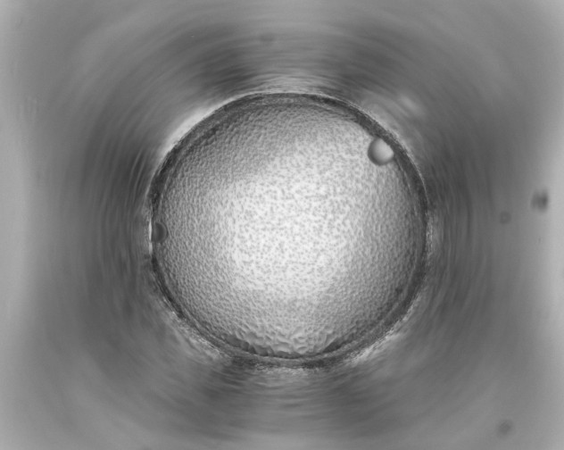 X0000093570925200710291037