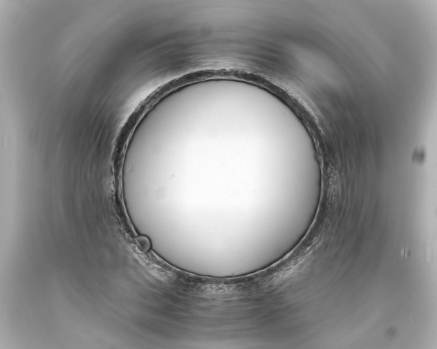 X0000093570927200710291037