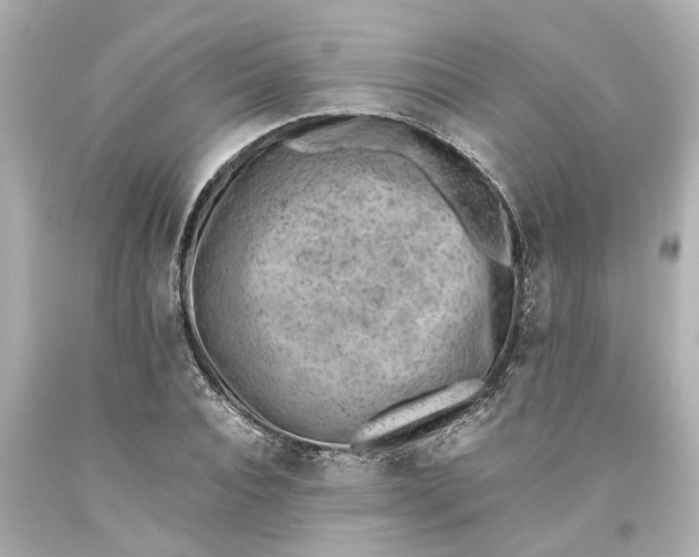 X0000093570928200710291037