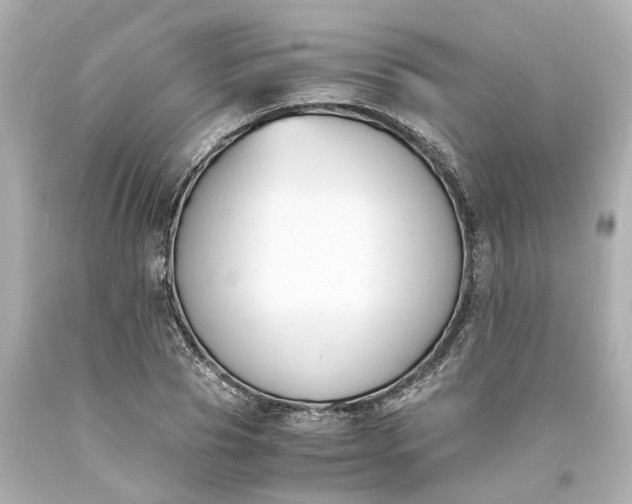 X0000093570929200710291037