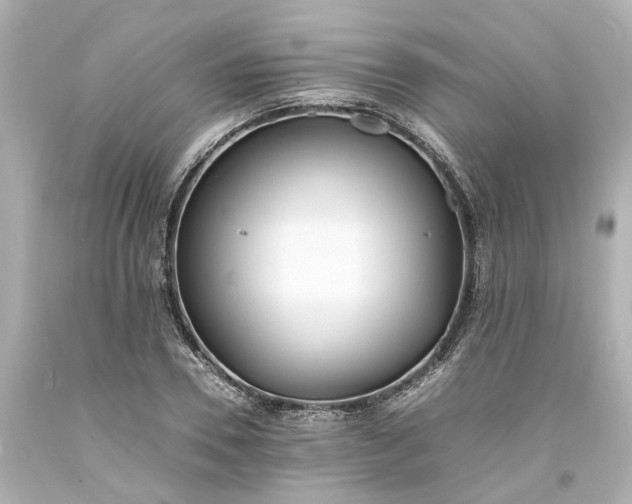 X0000093570930200710291037
