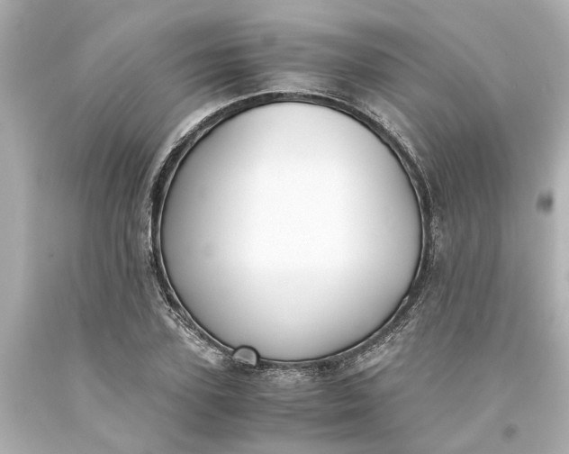 X0000093570931200710291037