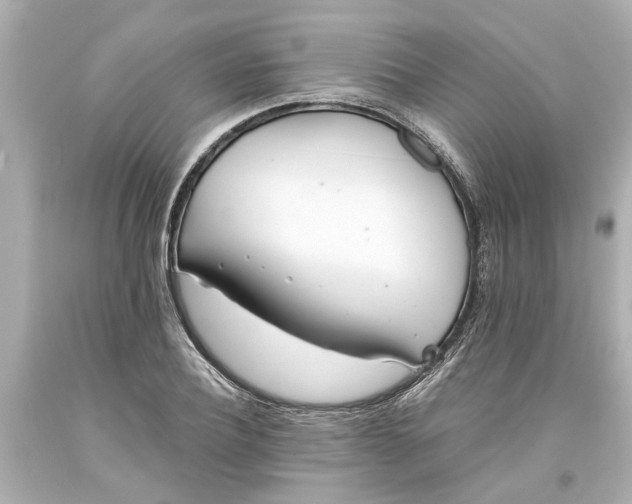 X0000093570932200710291037
