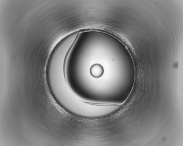 X0000093570936200710291037