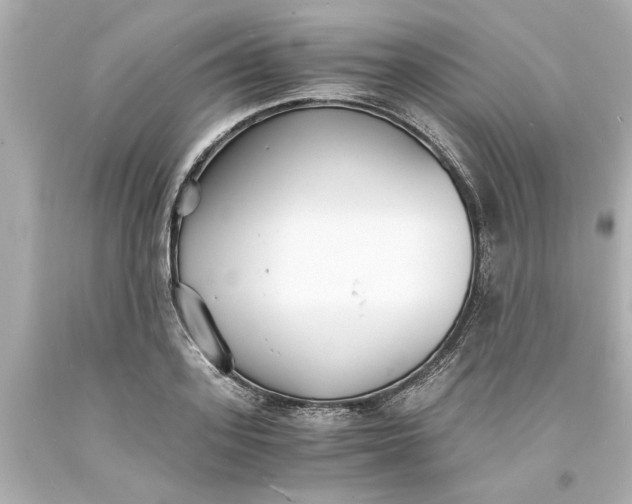 X0000093570939200710291037