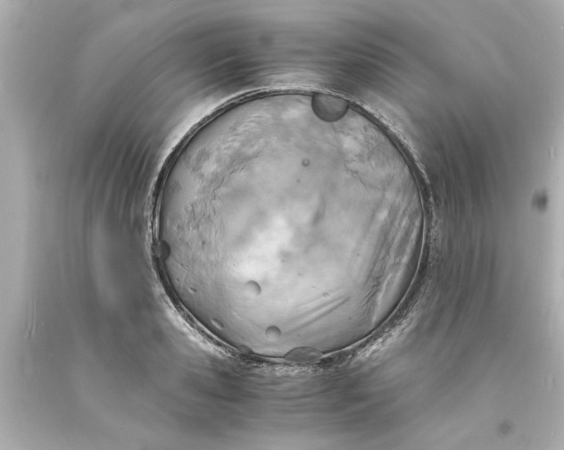 X0000093570941200710291037