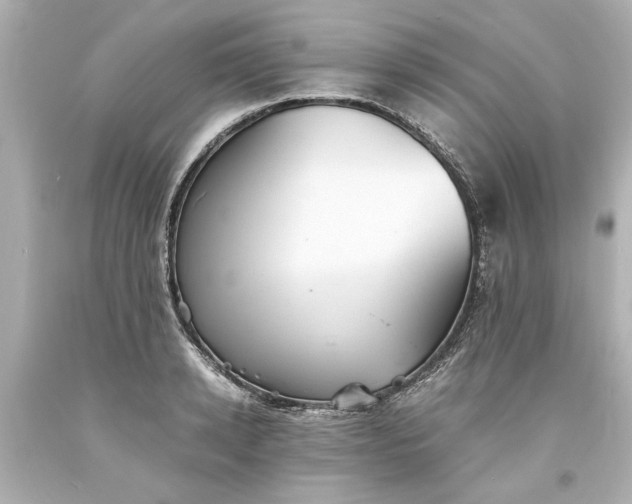 X0000093570942200710291037
