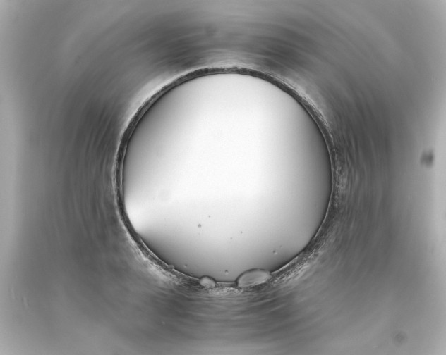X0000093570943200710291037