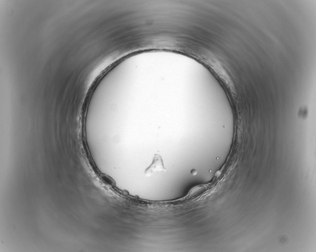 X0000093570944200710291037