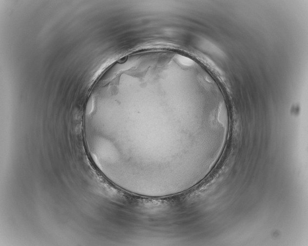 X0000093570945200710291037