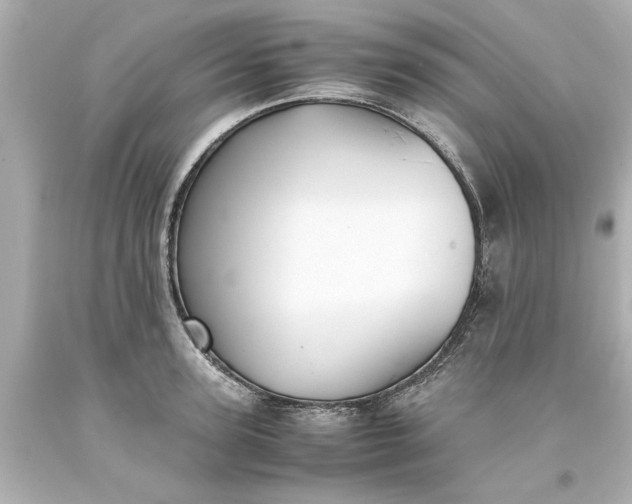 X0000093570947200710291037