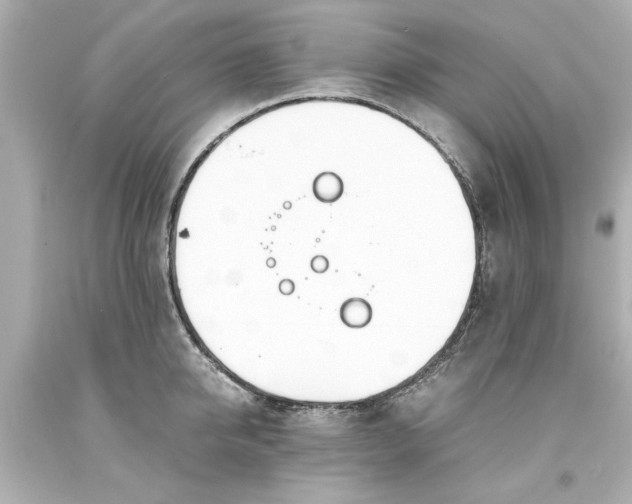 X0000093570950200710291037