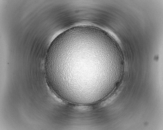 X0000093570953200710291037