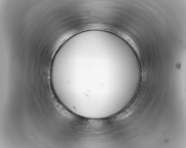 X0000093570954200710291037