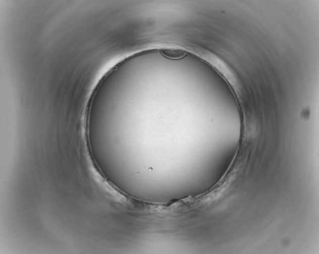 X0000093570958200710291037