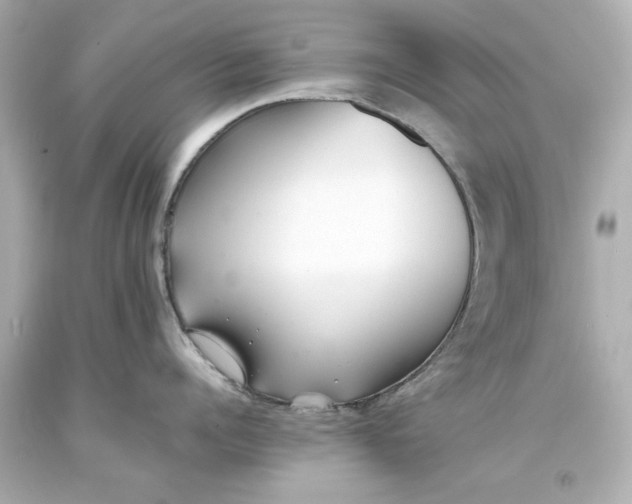 X0000093570960200710291037