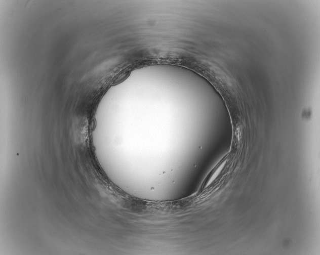 X0000093570963200710291036