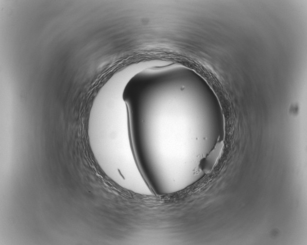 X0000093570965200710291036