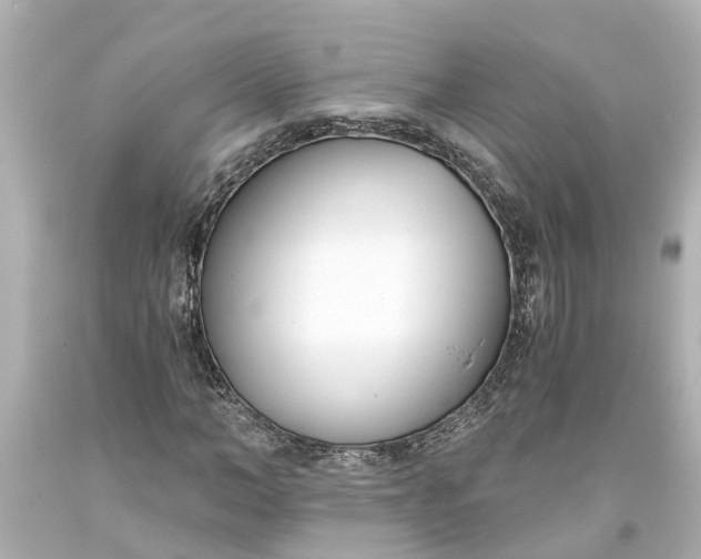 X0000093570966200710291036