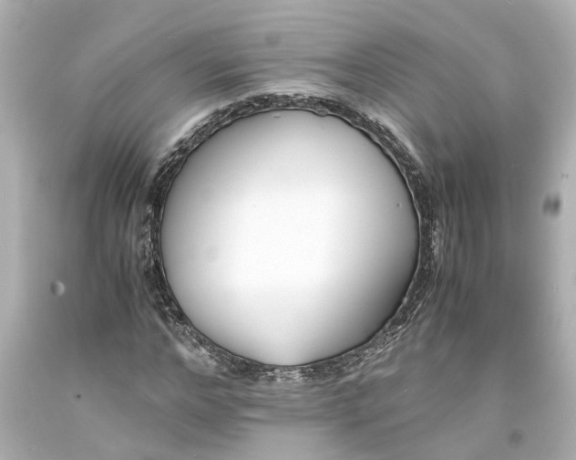 X0000093570968200710291036