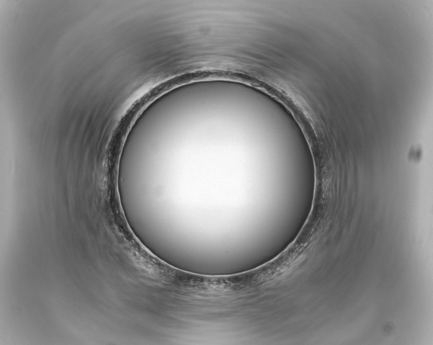 X0000093570975200710291036