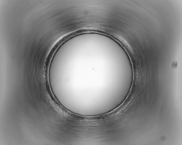 X0000093570976200710291036