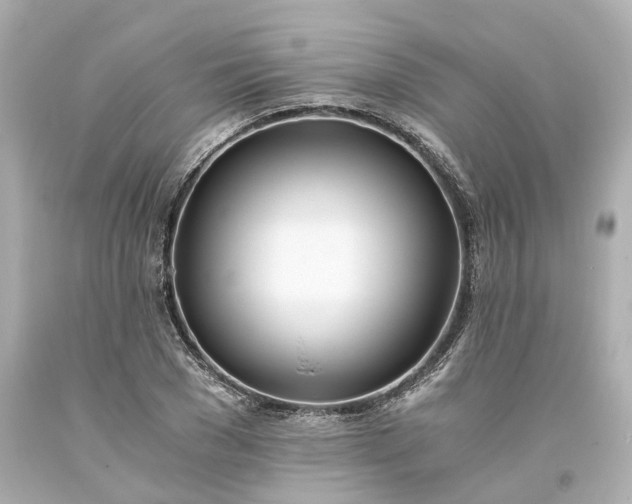 X0000093570977200710291036