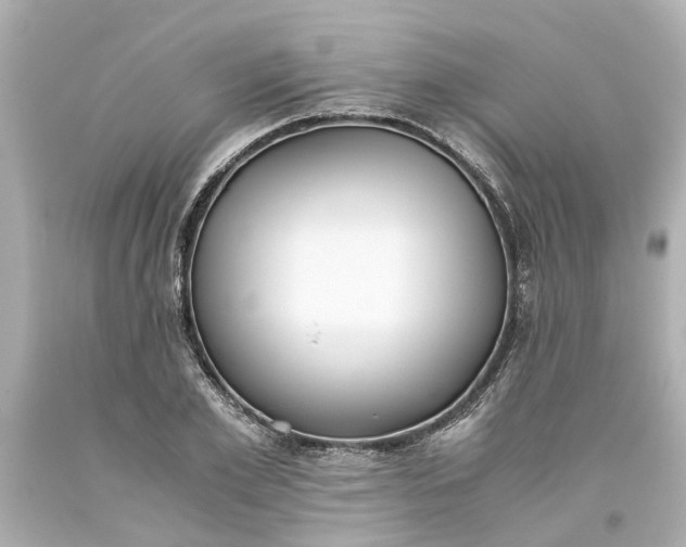 X0000093570981200710291036