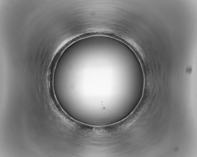 X0000093570983200710291036