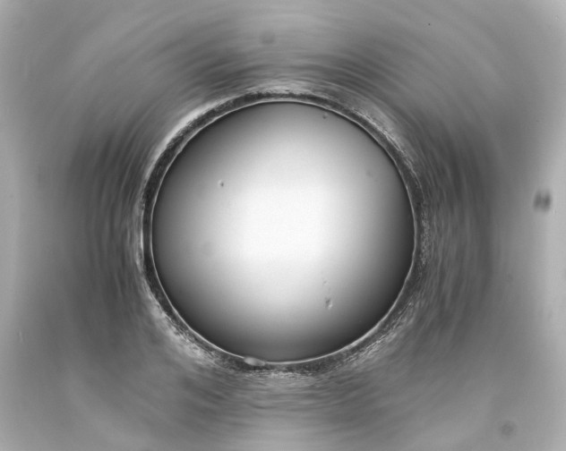 X0000093570984200710291036
