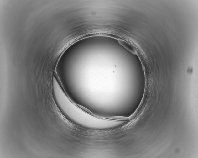 X0000093570985200710291036