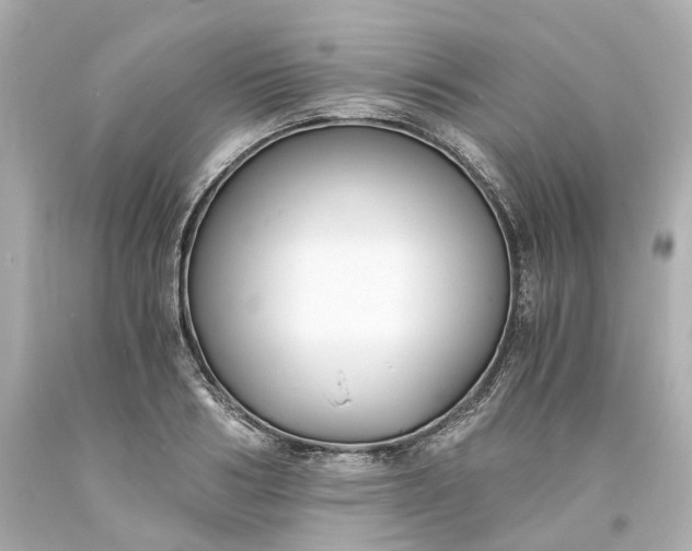 X0000093570986200710291036