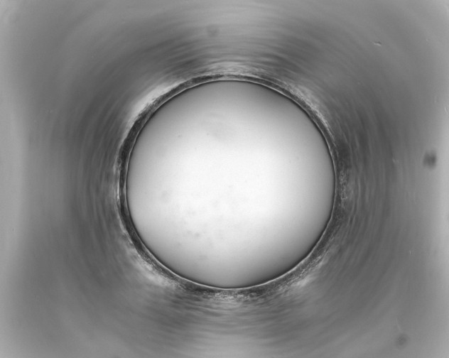 X0000093570987200710291036