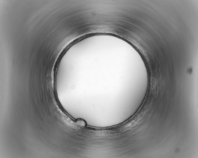 X0000093570988200710291036
