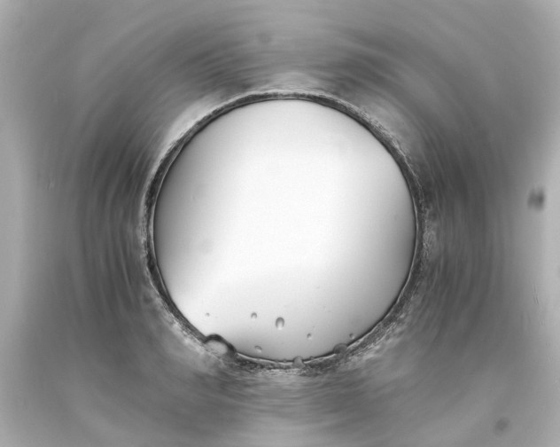 X0000093570990200710291036